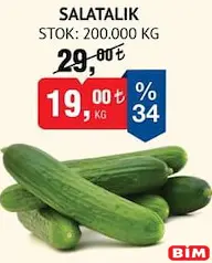 SALATALIK KG